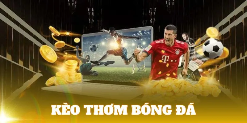 Lụm Ngay Kèo Thơm Khi Xuất Hiện Hệ Số Bí Mật Trên Tỷ Số 7mvn